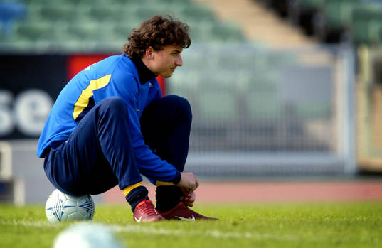 Zlatan Ibrahimovic, Sverige