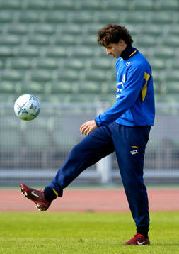 Zlatan Ibrahimovic, Sverige