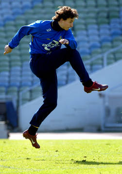 Zlatan Ibrahimovic, Sverige