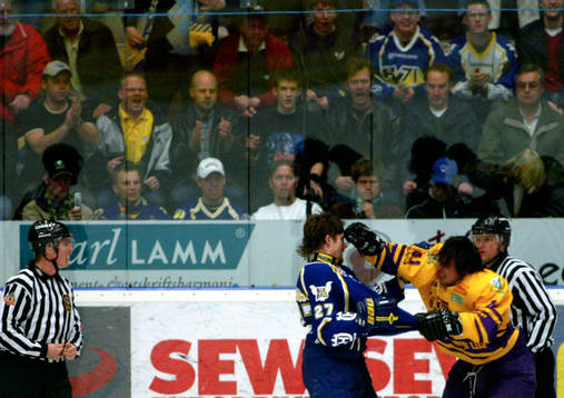 Johan Halvardsson, HV71 och Kalle Steen, Färjestad
