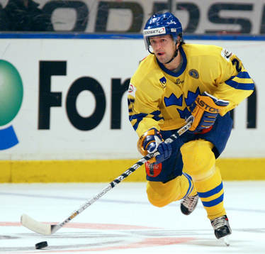 Thomas Rhodin, Sverige