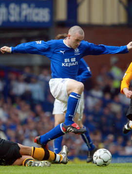James McFadden, Everton