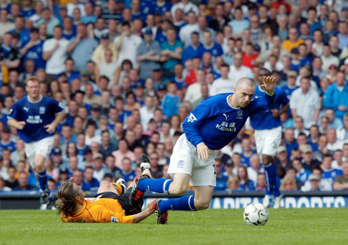 James McFadden, everton