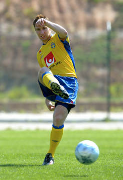 Niklas Skoog, Sverige