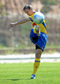 Tobias Linderoth, Sverige