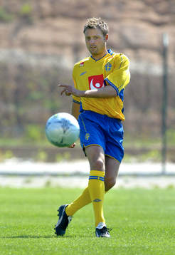 Erik Wahlstedt, Sverige