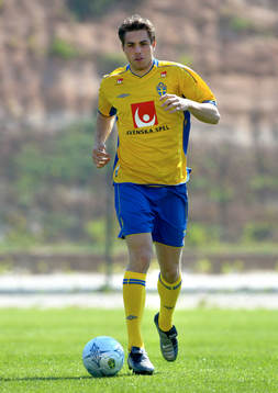 Johan Elmander, Sverige