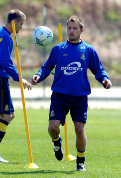 Erik Wahlstedt, Sverige