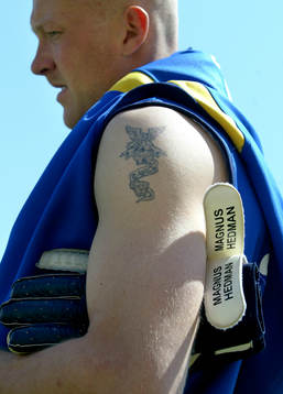 Magnus Hedman, Sverige