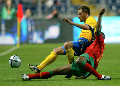 Erik Wahlstedt, Sverige