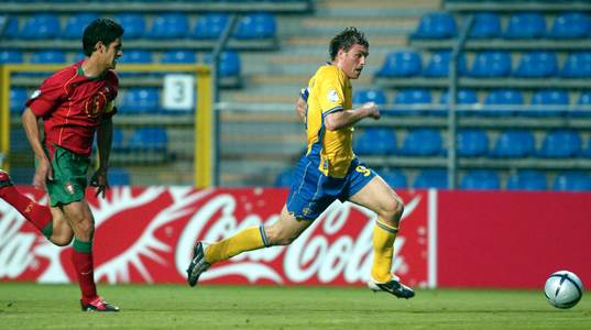 Johan Elmander, Sverige