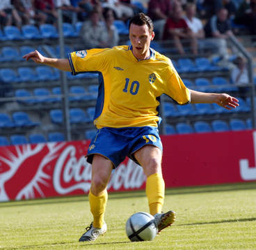 Alexander Farnerud, Sverige