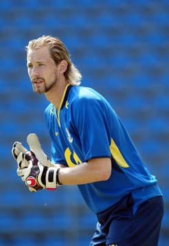 Johan Wiland, Sverige