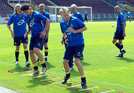 Zlatan Ibrahimovic, Christian Wilhelmsson, Henke Larsson,