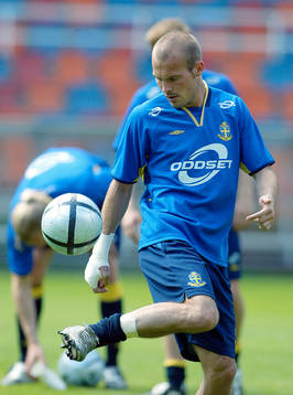 Fredrik Ljungberg, Sverige