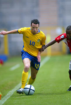 Alexander  Farnerud, Sverige