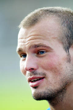 Fredrik Ljungberg, Sverige
