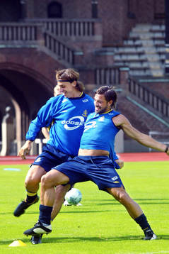 Zlatan Ibrahimovic och Alexander Östlund, Sverige