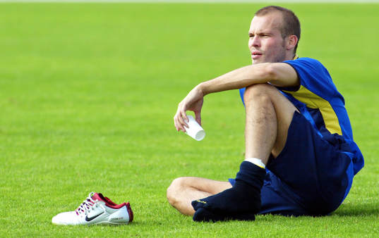 Fredrik Ljungberg, Sverige