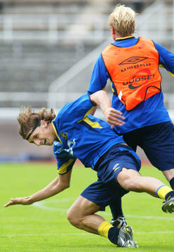 Zlatan Ibrahimovic, Sverige