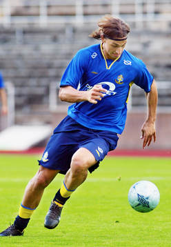 Zlatan Ibrahimovic, Sverige