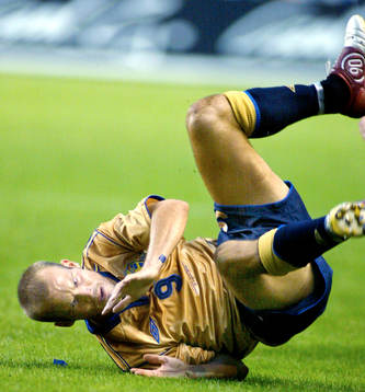 Fredrik Ljungberg, Sverige
