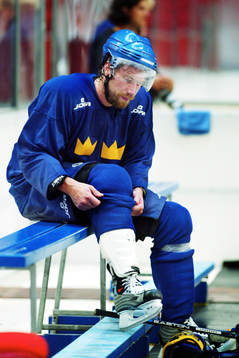 Peter Forsberg, Sverige