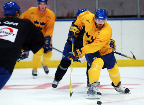 Henrik Zetterberg, Sverige