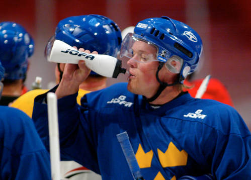 Samuel Påhlsson, Sverige