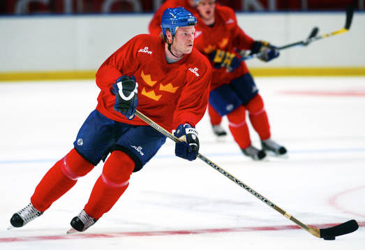 Fredrik Modin, Sverige