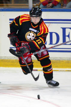Mikko Luovi, Brynäs