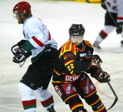 Mikko Luovi, Brynäs