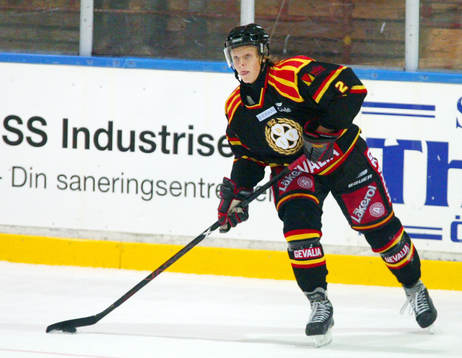 Niklas Andersson, Brynäs