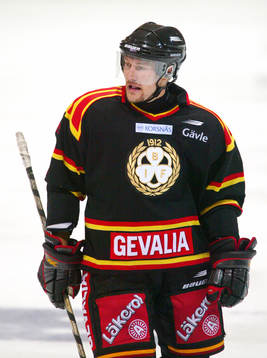Vesa Viitakoski, Brynäs