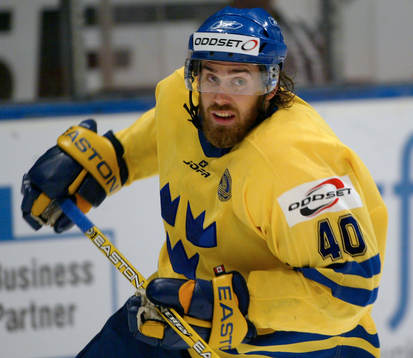 Henrik Zetterberg, Sverige
