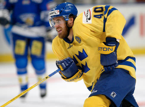 Henrik Zetterberg, Sverige