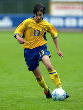 Linus Hallenius, Sverige
