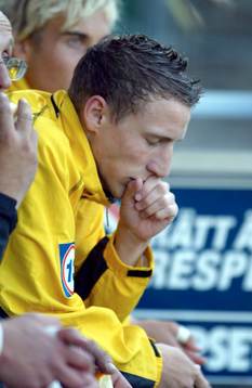 Daniel Johansson, Friska Viljor