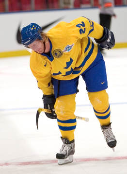 Per Johan Axelsson, Sverige