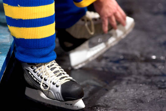 Peter Forsberg, Sverige