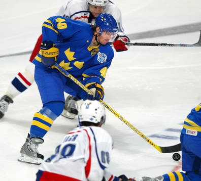 Henrik Zetterberg, Sverige
