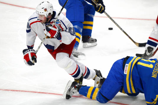 Jaromir Jagr, Tjeckien