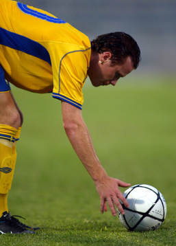 Alexander Farnerud, Sverige