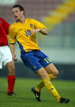 Alexander Farnerud, Sverige
