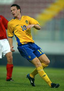 Alexander Farnerud, Sverige