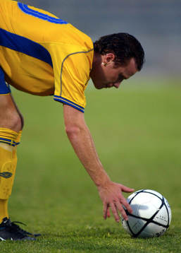 Alexander Farnerud, Sverige