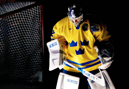 Mikael Tellqvist, målvakt
