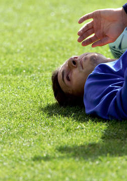 Zlatan Ibrahimovic