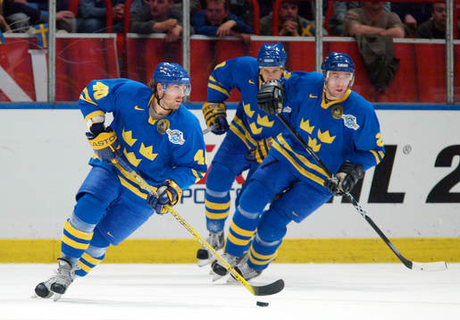 Henrik Zetterberg, Sverige