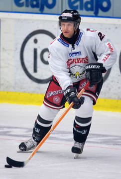 David Petrasek, Malmö Redhawks